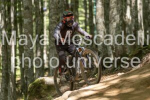 IMG_2236