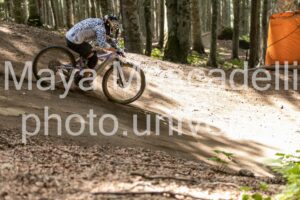 IMG_2281