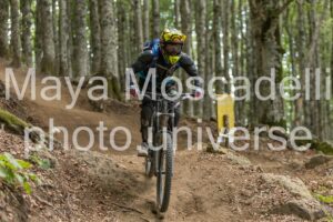 IMG_2322