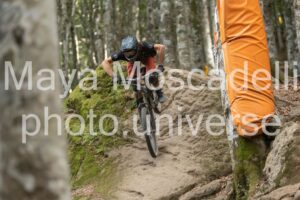 IMG_2397