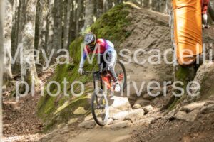 IMG_2401