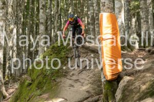 IMG_2406