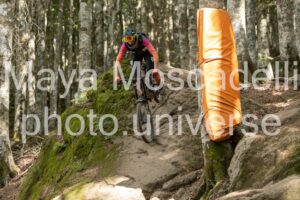 IMG_2407