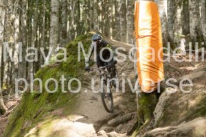 IMG_2414