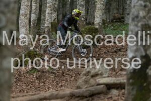 IMG_2447