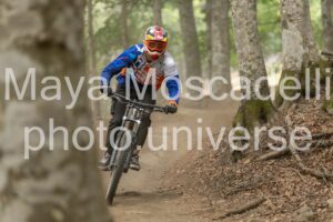 IMG_2488