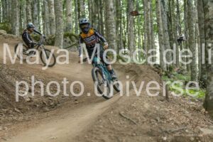 IMG_2542