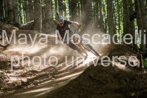 IMG_2553