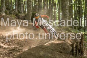 IMG_2581