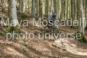 IMG_2584