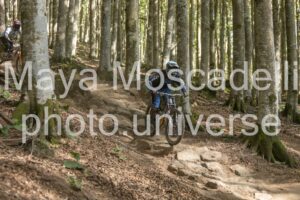 IMG_2592