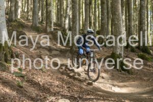 IMG_2593