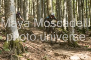 IMG_2601