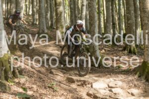 IMG_2602