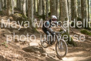 IMG_2604