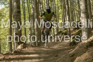 IMG_2666