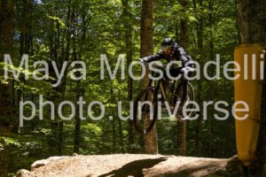 IMG_2687