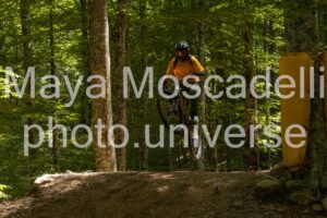 IMG_2775