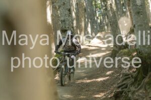 IMG_2812