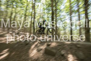 IMG_2879