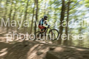 IMG_2884