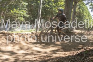 IMG_2922