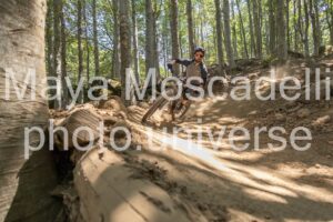 IMG_2927
