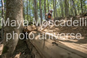 IMG_2931