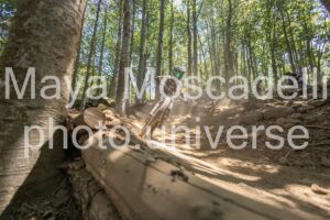 IMG_2936