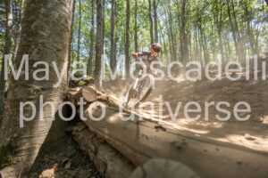 IMG_2960