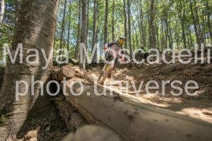 IMG_2964