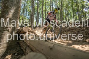 IMG_2965