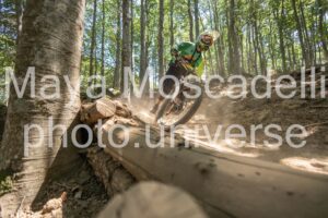 IMG_2968