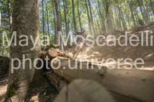 IMG_2972