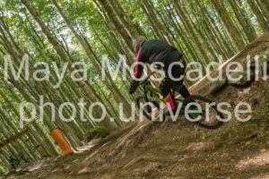 IMG_2978
