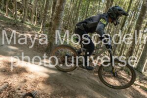 IMG_2981