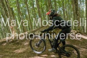 IMG_2986