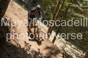 IMG_2994