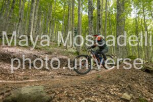 IMG_3015