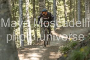 IMG_3041