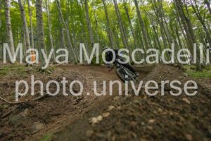 IMG_3042