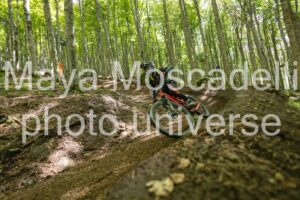 IMG_3047