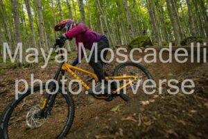 IMG_3068