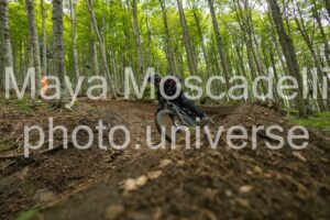 IMG_3073