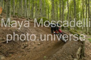 IMG_3078