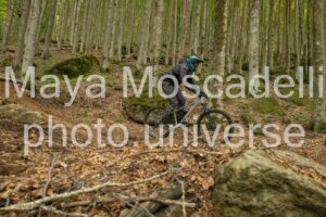 IMG_3083