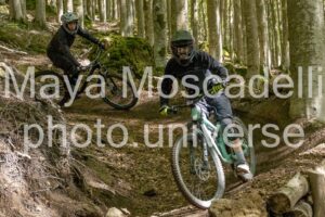 IMG_3096