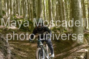 IMG_3105