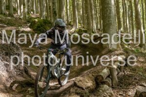 IMG_3106