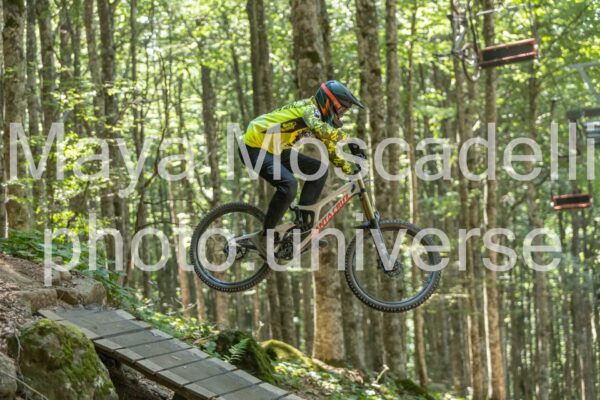 IMG_3131